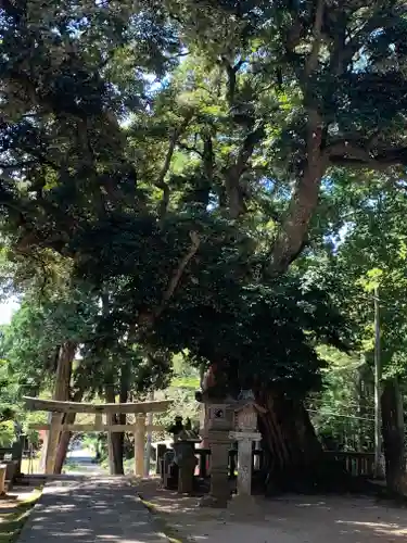 雨引千勝神社の鳥居