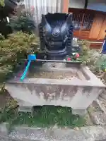 専念寺の{uncategorized: "未分類", other: "その他", undefined: "問題あり", building: "その他建物", grave: "お墓", sacred_gate: "鳥居", guardian: "狛犬", statue: "像", buddha: "仏像", history: "歴史", nature: "自然", garden: "庭園", animal: "動物", pagoda: "塔", temizu: "手水舎", mountain_gate: "山門・神門", sanctuary: "本殿・本堂", subordinate: "末社・摂社", art: "芸術", scenery: "景色", jizo: "地蔵", ema: "絵馬", goshuin: "御朱印", omikuji: "おみくじ", items: "授与品その他", amulet: "お守り", goshuincho: "御朱印帳", eats: "食事", festival: "お祭り", votive_dance: "神楽", shichigosan: "七五三参", wedding: "結婚式", experience: "体験その他", initially: "初詣", around: "周辺", anti_infection: "感染症対策"}