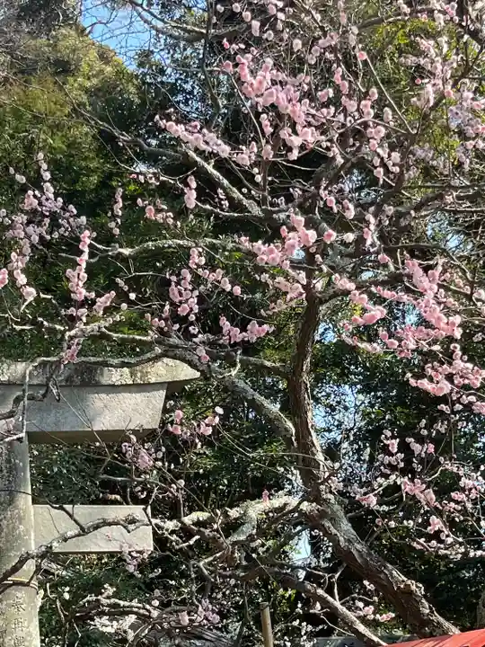 荏柄天神社(神奈川県)