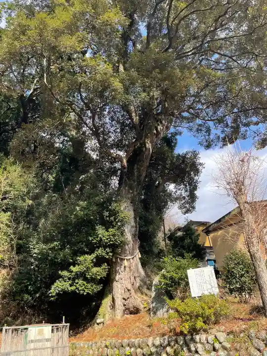 日枝神社(静岡県)