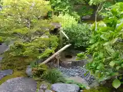 観智院（東寺子院）の手水