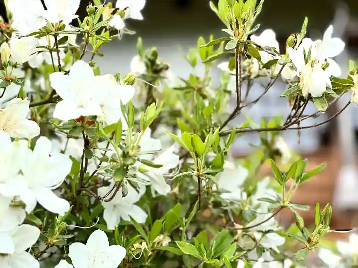 和神社(長野県)
