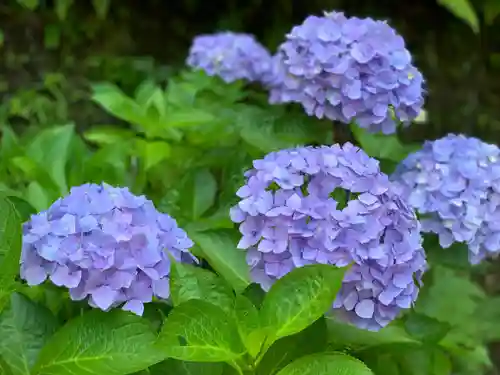 三室戸寺の自然