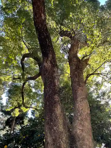久能山東照宮(静岡県)