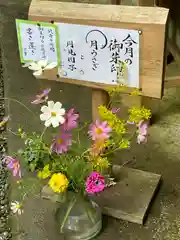 須山浅間神社(静岡県)