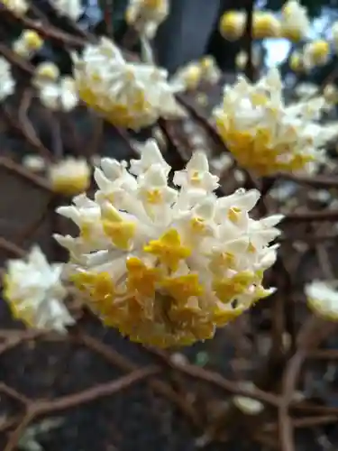 豪徳寺(東京都)