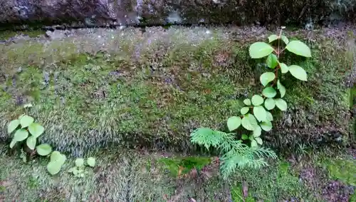 義經神社の自然