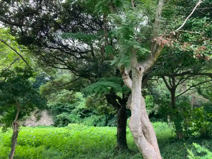 東勝寺跡の自然
