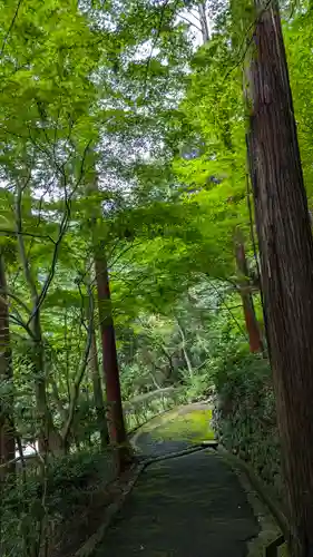 善峯寺(京都府)