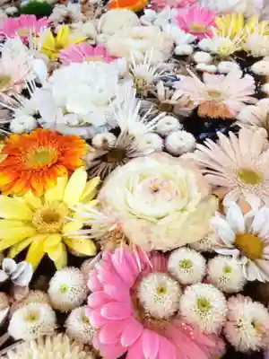 高円寺氷川神社(東京都)