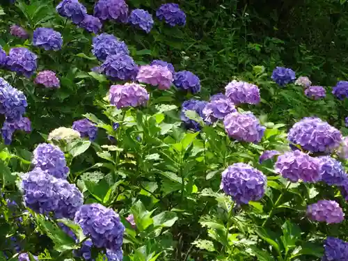 天台宗　長窪山　正覚寺の自然