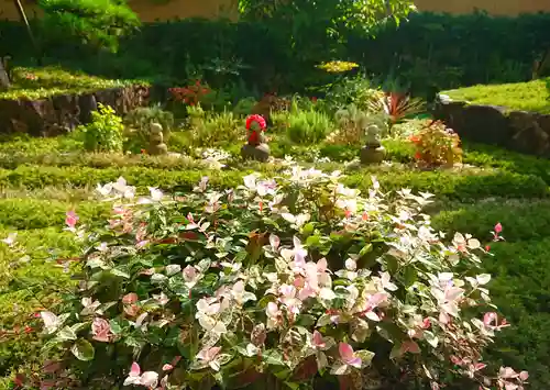 寿量山　速成寺の自然