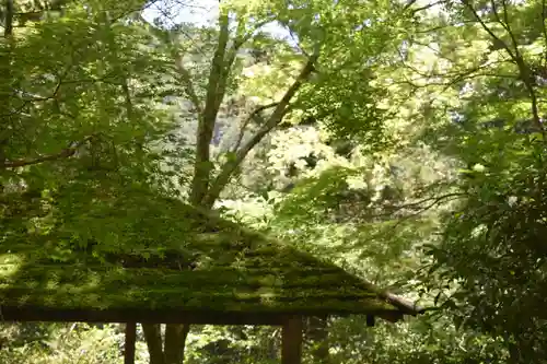 高山寺(京都府)