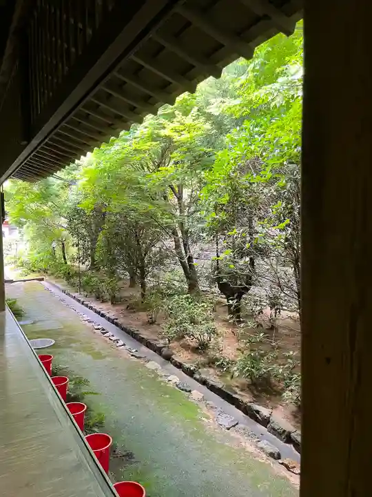 龍安寺(京都府)