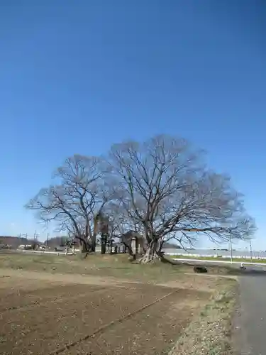 神明神社(千葉県)
