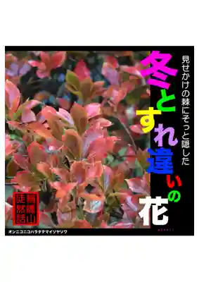 耕田院(山形県)