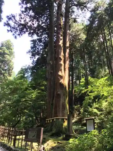 御岩神社の自然