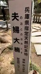 伊弉諾神宮(兵庫県)