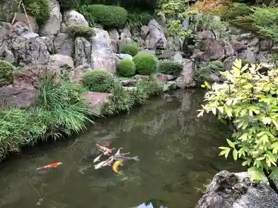 宝徳寺(群馬県)