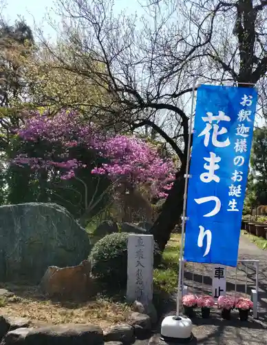 慶性院の庭園