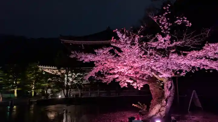 知恩院(京都府)