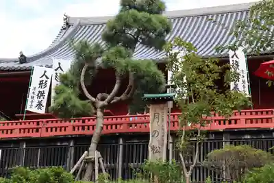 清水観音堂の本殿・本堂