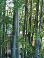 八幡山観音寺(神奈川県)