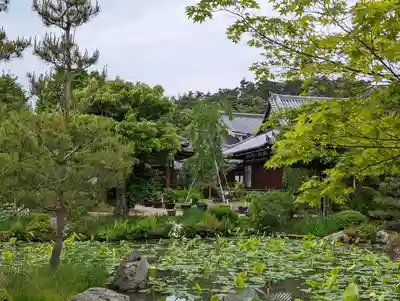 法金剛院(京都府)