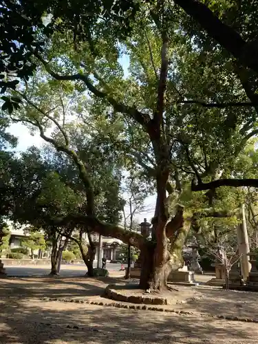 住吉大社(大阪府)