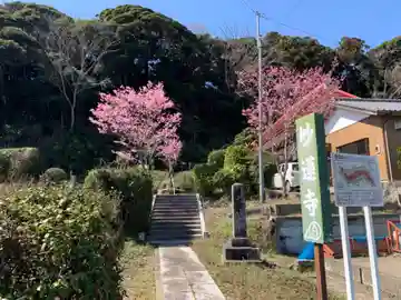 妙蓮寺(千葉県)