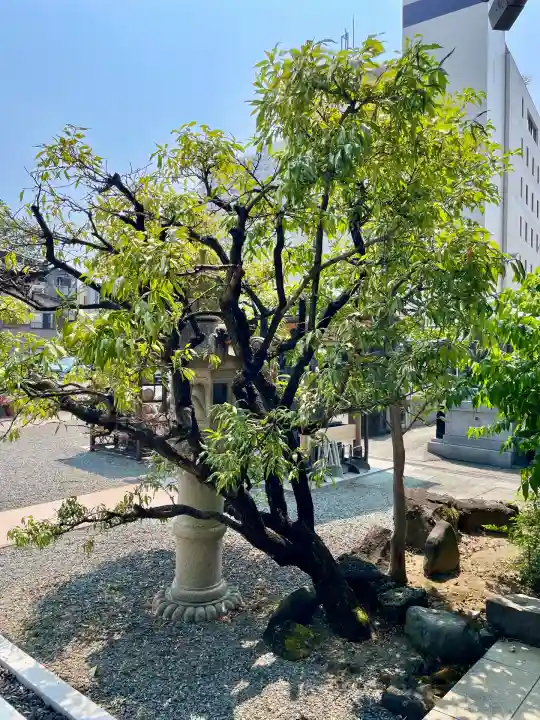 円明寺(静岡県)