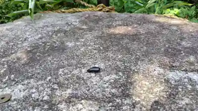 鷺森神社(京都府)