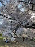 寒川神社(神奈川県)