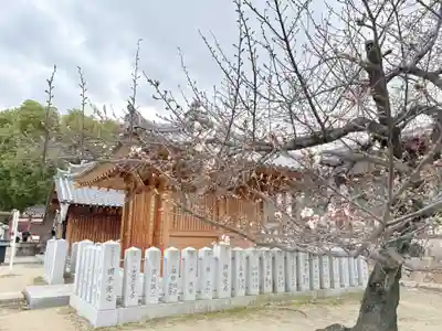 四天王寺(大阪府)
