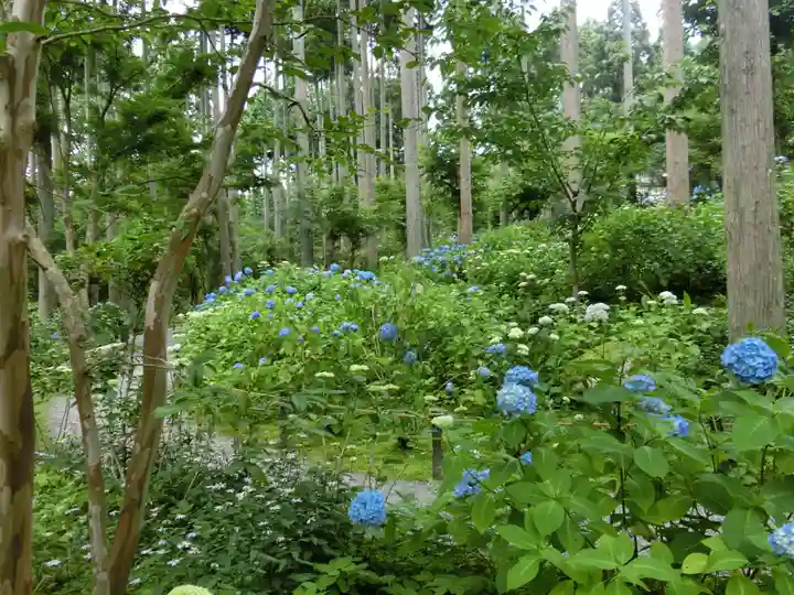 三千院門跡の自然