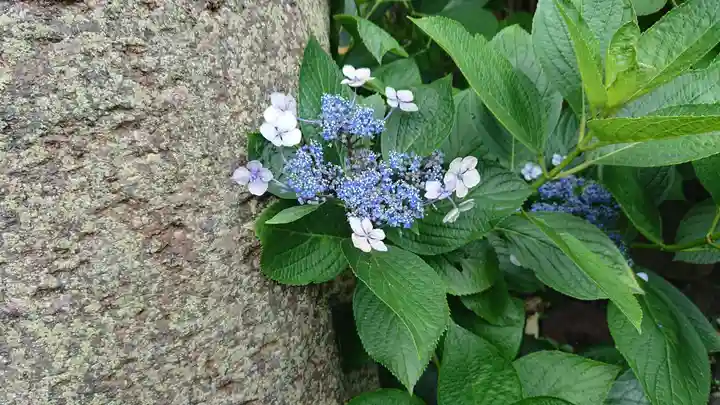 明徳稲荷神社の自然