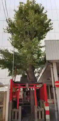 延壽稲荷神社の鳥居