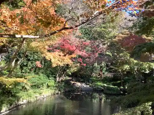 鶴岡八幡宮の庭園