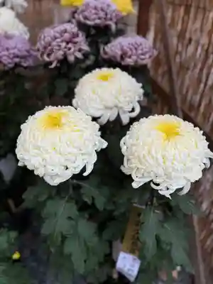 諏訪大社下社秋宮(長野県)