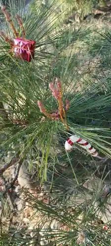 法輪寺のその他建物