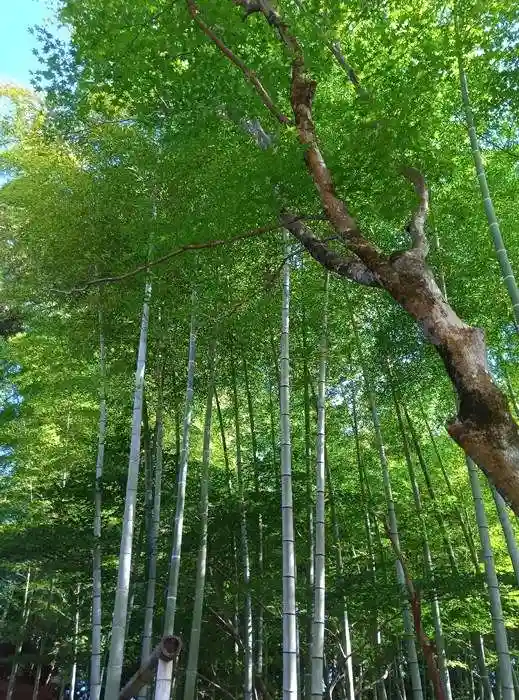 八王寺(埼玉県)
