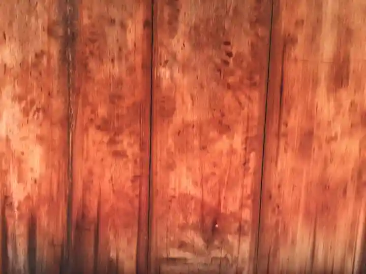 正伝護国禅寺(正伝寺・正傳寺)のその他建物