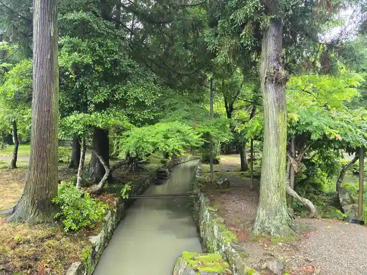 奥石神社(滋賀県)