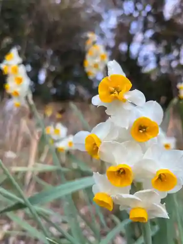 長谷寺(神奈川県)