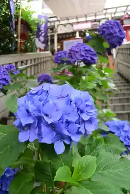 十番稲荷神社の自然