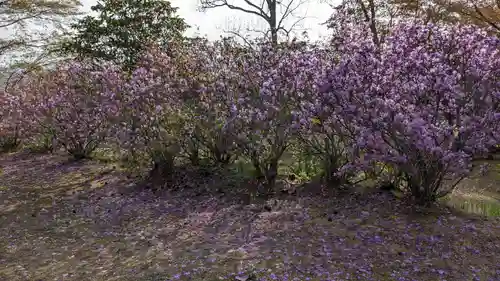 本別神社の自然