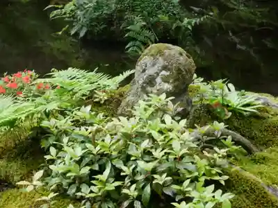 三千院門跡(京都府)