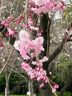 靖國神社(東京都)