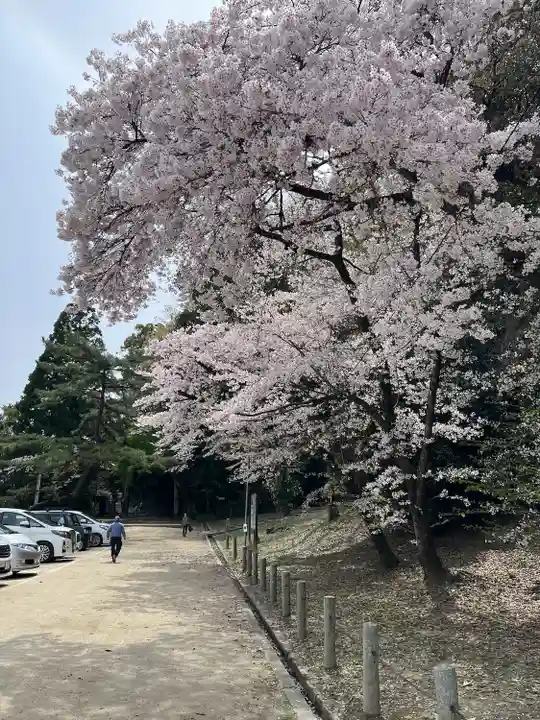 石清水八幡宮(京都府)