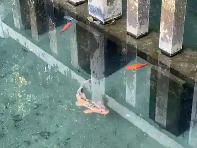 鹿島神宮(茨城県)